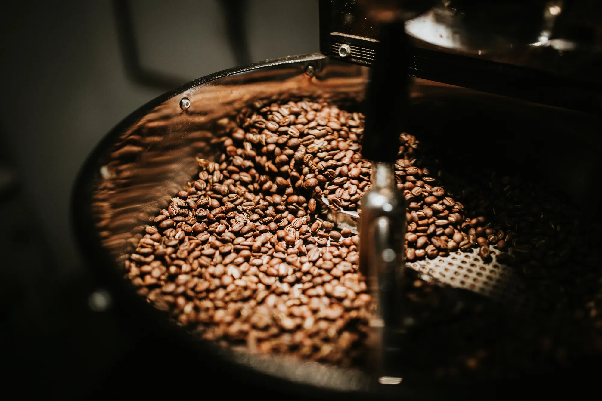 Coffee beans turning in a roasting drum